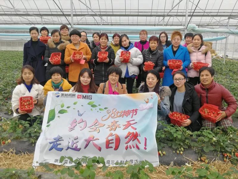 VAI, andiamo a raccogliere fragole insieme—— Attività 